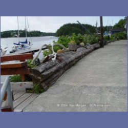 2003_2870_Ahousat_Matilda_Inlet.html