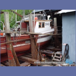 2003_2886_Ahousat_Matilda_Inlet.html