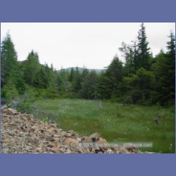 2005_1400_Anyox_Dam_Road.html