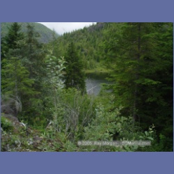 2005_1404_Anyox_Dam_Road.html