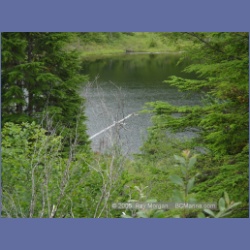 2005_1405_Anyox_Dam_Road.html