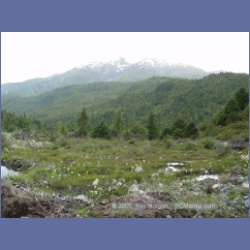 2005_1436_Anyox_Hydroelectric_Dam.html