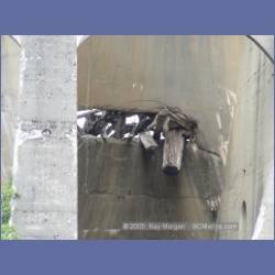 2005_1492_Anyox_Hydroelectric_Dam.html