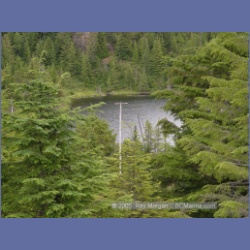2005_1529_Anyox_Dam_Road.html
