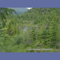 2005_1530_Anyox_Dam_Road.html