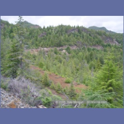 2005_1549_Anyox_Dam_Road.html