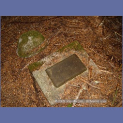 2005_1570_Anyox_Graveyard.html