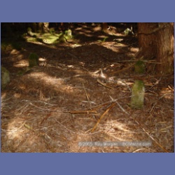 2005_1572_Anyox_Graveyard.html