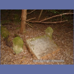 2005_1576_Anyox_Graveyard.html