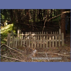 2005_1580_Anyox_Graveyard.html