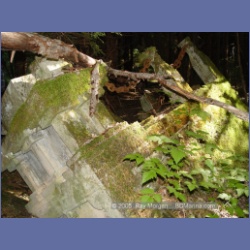 2005_1583_Anyox_Graveyard.html
