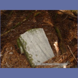 2005_1591_Anyox_Graveyard.html