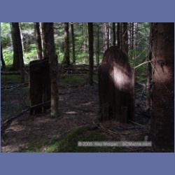 2005_1602_Anyox_Graveyard.html