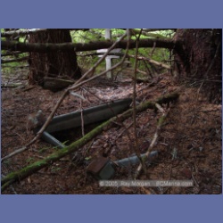 2005_1605_Anyox_Graveyard.html