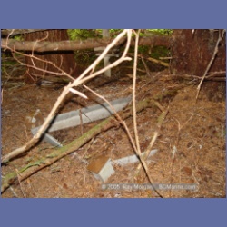 2005_1606_Anyox_Graveyard.html