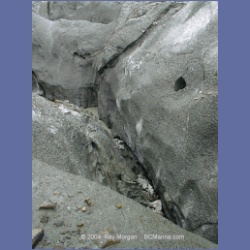 1998_430_Baird_Glacier.html