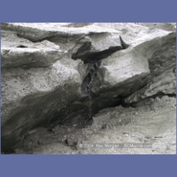 1998_433_Baird_Glacier.html