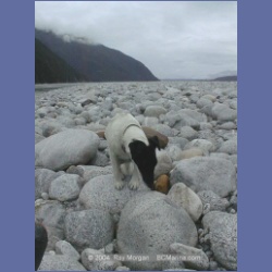 1998_436_Baird_Glacier.html