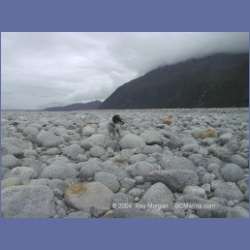 1998_437_Baird_Glacier.html