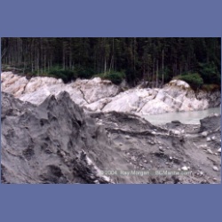 1998_baird41.html