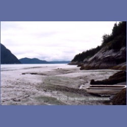 1998_baird55.html