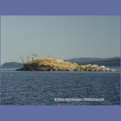 2003_5060_Ballingall_Islets.html