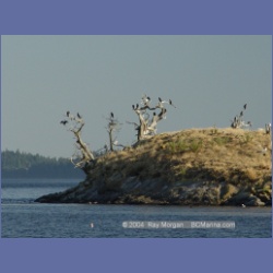 2003_5061_Ballingall_Islets.html