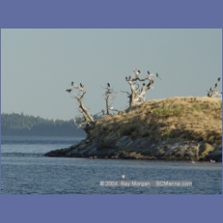 2003_5062_Ballingall_Islets.html
