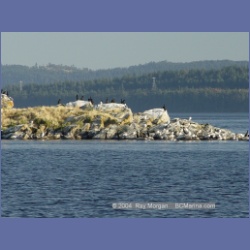 2003_5063_Ballingall_Islets.html