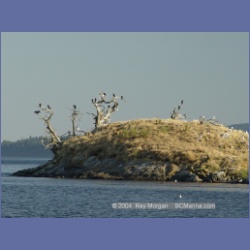 2003_5064_Ballingall_Islets.html