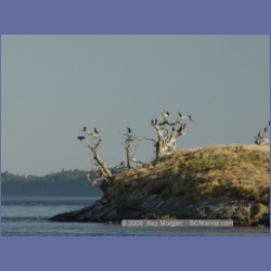 2003_5065_Ballingall_Islets.html