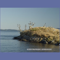2003_5077_Ballingall_Islets.html