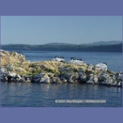2003_5078_Ballingall_Islets.html