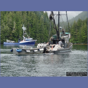 2006_1026_Baranof_Hot_Springs.JPG