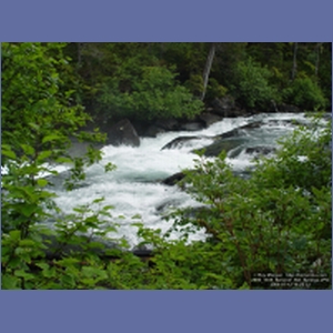 2006_1035_Baranof_Hot_Springs.JPG