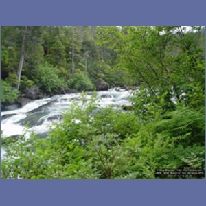 2006_1036_Baranof_Hot_Springs.JPG
