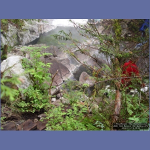 2006_1043_Baranof_Hot_Springs.JPG