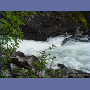 2006_1045_Baranof_Hot_Springs.JPG