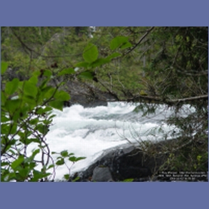 2006_1057_Baranof_Hot_Springs.JPG