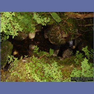 2006_1085_Baranof_Hot_Springs.JPG