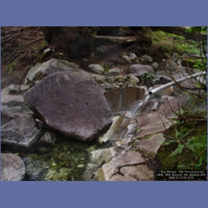 2006_1092_Baranof_Hot_Springs.JPG