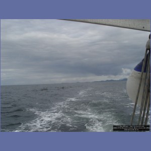 2006_2119_Baranof_Island_West_Coast_AK.JPG