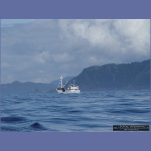 2006_2132_Baranof_Island_West_Coast_AK.JPG