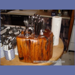 2005_2394_Coastal_Springs_Lodge.html