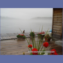 2005_2395_Coastal_Springs_Lodge.html