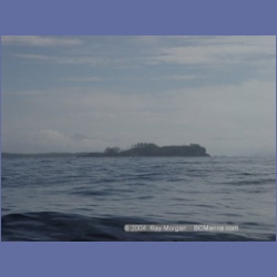 2003_3945_Bate_Passage_Pine_Island.html