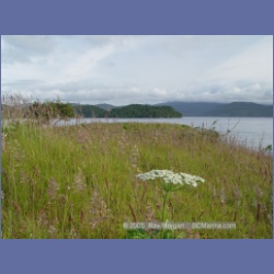 2005_0670_Bates_Passage_Hope_Island.html