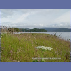 2005_0671_Bates_Passage_Hope_Island.html