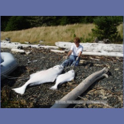 2005_2310_Bates_Passage_Hope_Island.html
