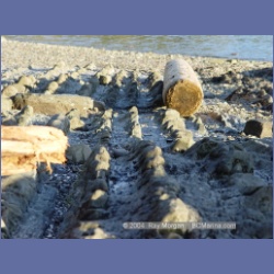 2003_1000_Bedwell_Harbour.html
